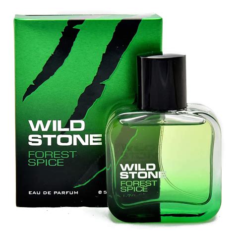 Buy Wild Stone Forest Spice Eau De Parfum For Men, 100ml Online at Low ...