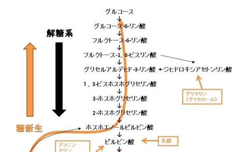 Image result for Secure Hash Algorithm Hint Image