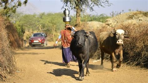 Never Stop Discovering: Bera-Jawai in Rajasthan - Overdrive