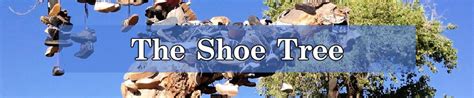 Image result for Shoe Tree Project