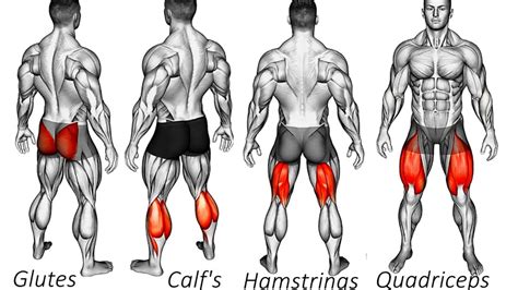 Leg Exercise 的图像结果