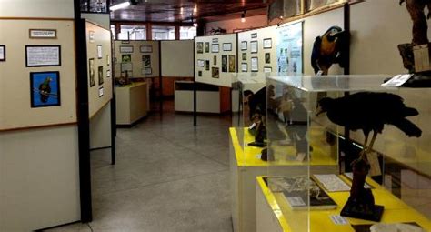 THE 10 CLOSEST Hotels to Museum of Natural Science, University of ...