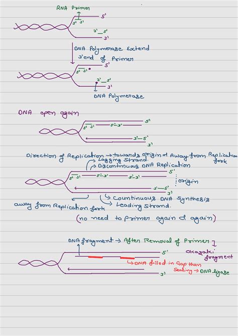 Image result for Molecular Basis of Inheritance Class 12 PDF