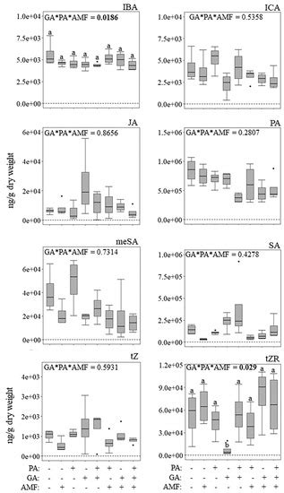 Phytohormone Profile of Medicago in Response to Mycorrhizal Fungi ...