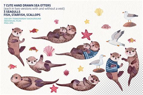 Sea Otter Clip Art