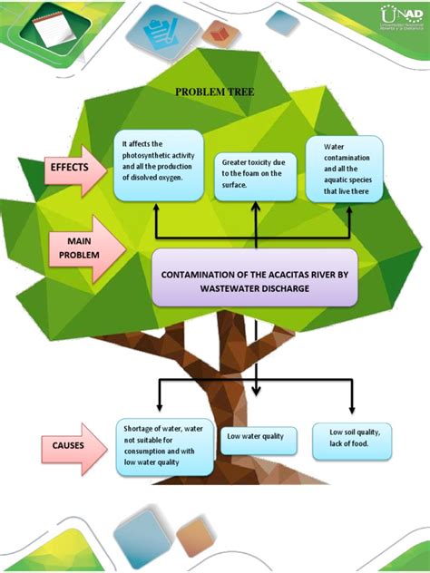 Image result for PBS Tree Problem