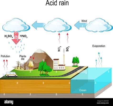 Acid rain is caused by emissions of sulfur dioxide and nitrogen oxide ...