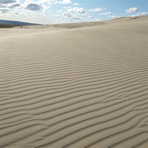 Killpecker Sand Dunes (2026) - All You MUST Know Before You Go (with ...