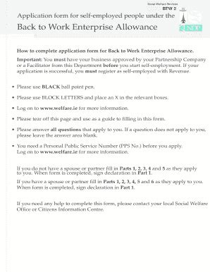 2008 Form IE Social Welfare Services BTW 2 Fill Online, Printable ...