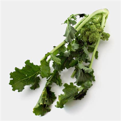 Cime di Rapa / Broccoli Rabe (Brassica rapa sylvestris) - approx. 500 seeds