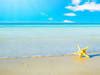 describe a picture of a beach - Brainly.in