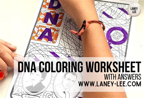 DNA Coloring 的图像结果