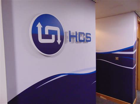 HCS 2010 Tutorial 的图像结果