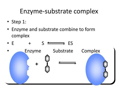 PPT - Enzyme … the Biological Catalyst PowerPoint Presentation, free download - ID:227067