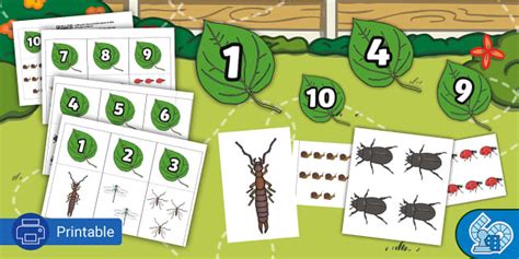 Minibeast Counting Game - Number Matching Game for Summer