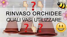come curare le orchidee in vaso rinvaso orchidee quali vasi utilizzare il mito sul come curare le orchidee in vaso rinvaso orchidee quali vasi utilizzare il mito sul