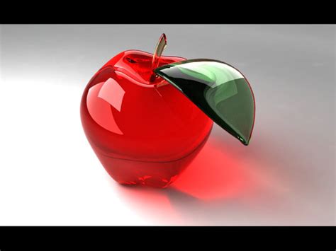 Image result for Apple User Guide Example