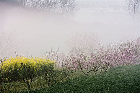 雾里看花