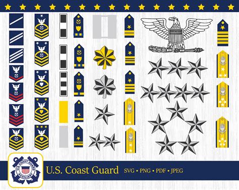 Military Ranks In Order Coast Guard at Debbie Apodaca blog
