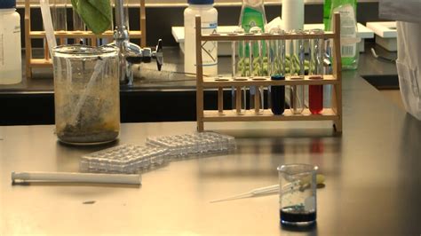 Selma Bridge Crossing Jubilee happening this weekend