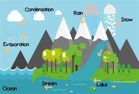 [DIAGRAM] Diagrams Of The Water Cycle - MYDIAGRAM.ONLINE
