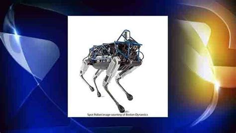 Boston Dynamics releases video of dog-like robot named 'Spot' | KTVU FOX 2