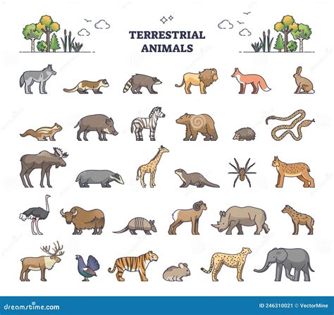 Land Mammals List