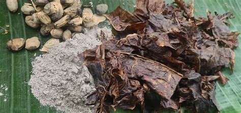 What Is Rapé (Hapé) Medicine? Benefits & How-To | Shamanic Supply – Shamanic Supply USA