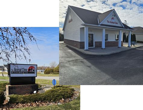 The Animal Clinic Wadsworth: Veterinarian in Wadsworth OH