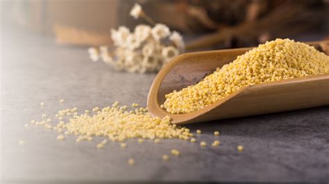 MILLETS - A GROUP OF MIRACLE GRAINS | NOREX