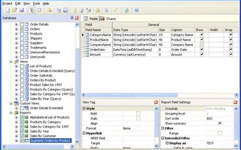 ASP.NET Report Maker 的图像结果