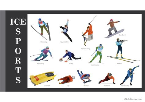 Easy Different Kinds of Sports 的图像结果