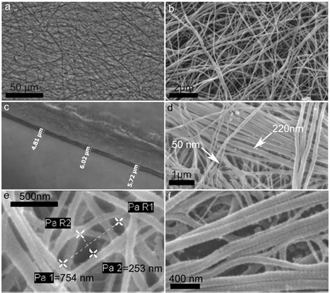 Production, Characterization and Biocompatibility of Marine Collagen ...
