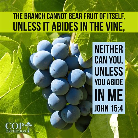 John 15:4 Abide in Me, and I in you. As the branch cannot bear fruit of ...