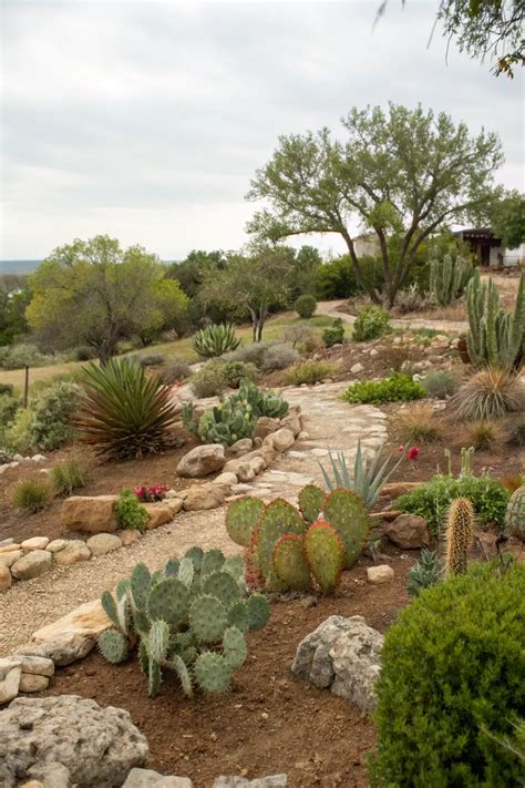19+ Inspiring Landscape Ideas for Texas Hill Country in 2025 | Desert ...