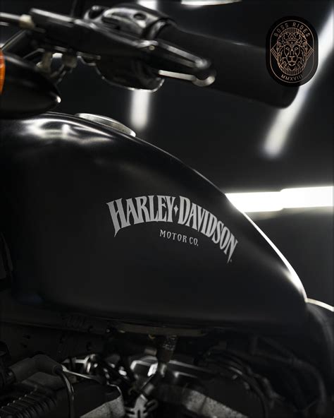 HARLEY DAVIDSON IRON 883 - Boss Ride