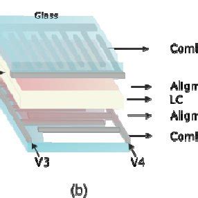 MicroLens Array 的图像结果