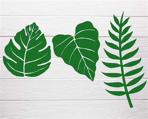 15 Tropical Leaves Bundle Svg for Cut File, Leaf Svg,flower Clipart,palm Svg, for Cricut - Etsy ...