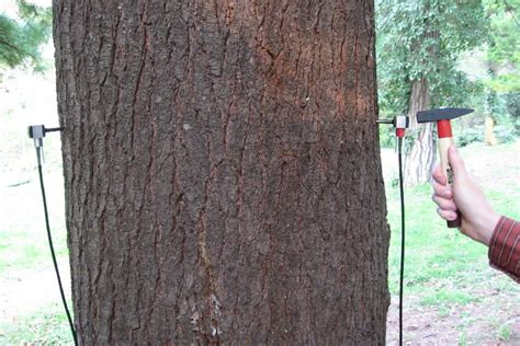 Image result for Microsecond Timer