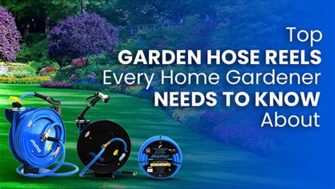 Top Garden Hose Reels Every Gardener Should Know – Zephyr