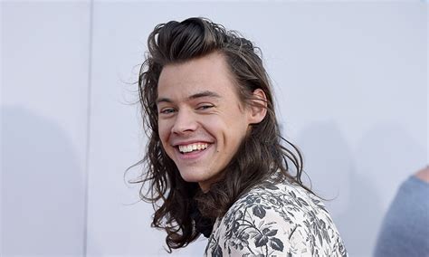 Harry Styles Profile, Affairs, Contacts, Girlfriend, Gallery, News, Hd ...