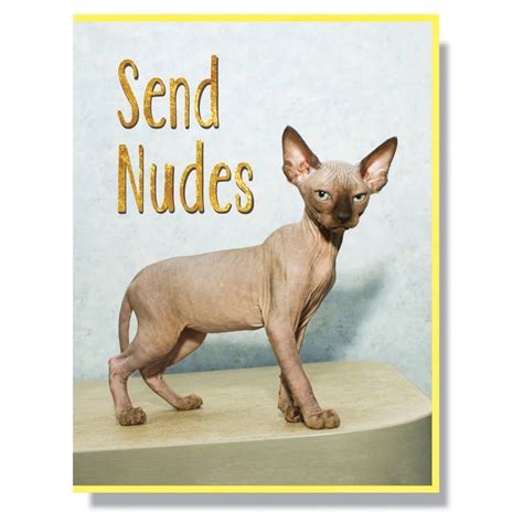 Send Nudes X