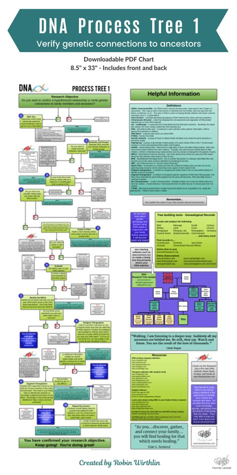 Parent Process Tree 的图像结果