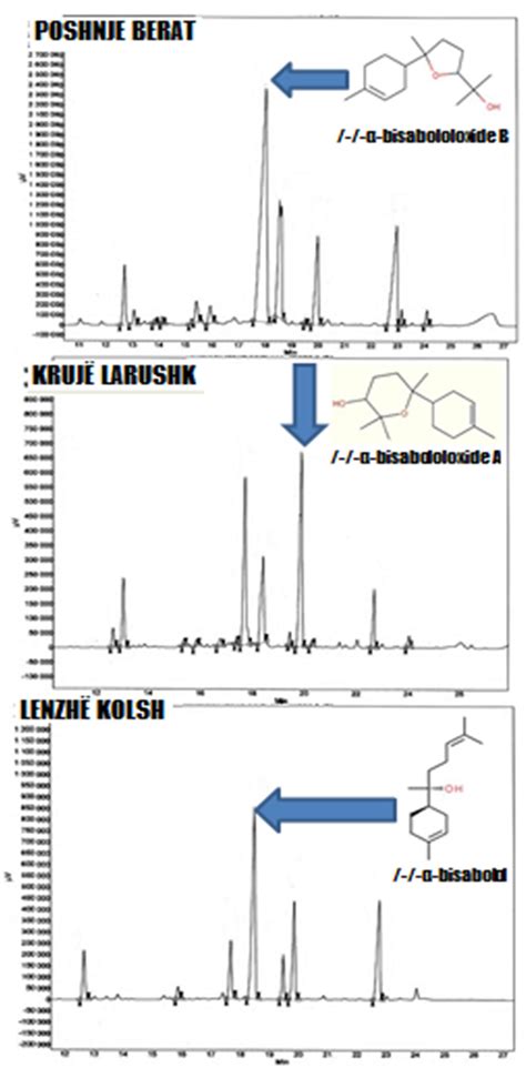 Essential Oil Content and Composition of the Chamomile Inflorescences ...