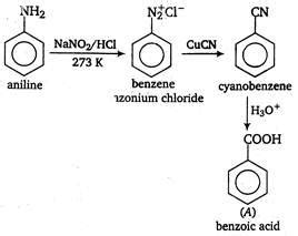 is - Tardigrade