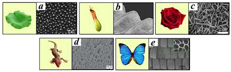 A Review on Superhydrophobic Surface with Anti-Icing Properties in ...