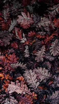 Aesthetic Fall Backgrounds Iphone by 24 Pretty Photo Of Scrapbook Aesthetic Wallpaper Aesthetic Fall Backgrounds Iphone