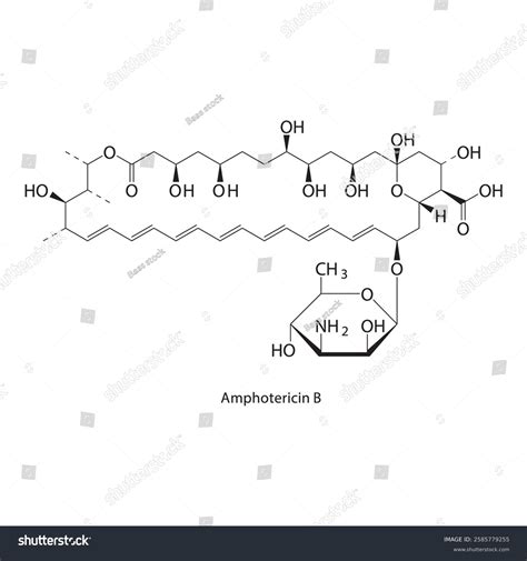 Amphotericin B Skeletal Structureantifungal Antibiotic Compound Stock Vector (Royalty Free ...
