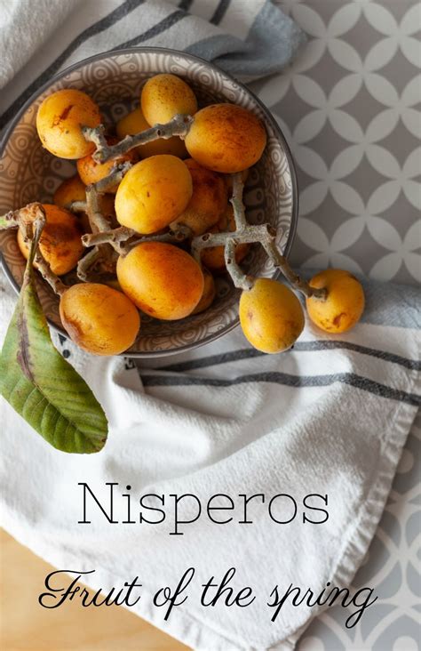 DecoPix by Tiina: Perfect Spring Fruit - Nispero