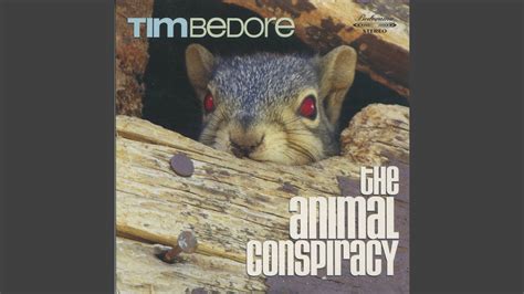 Exploding Toads Video 的图像结果